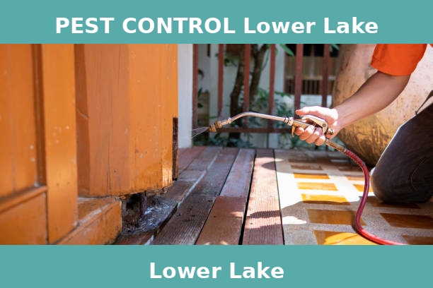 PEST CONTROL Lower Lake